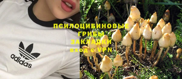 не бодяженный Медвежьегорск