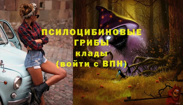 ALPHA PVP Майский