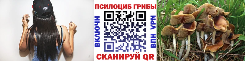Галлюциногенные грибы Cubensis  Купить закладки  Иноземцево